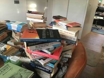 Photo of free Books especially psychology books (Big Wood NW11) #2