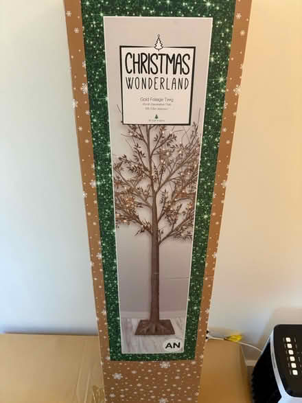 Photo of free Light up Christmas foliage (RG1) #1