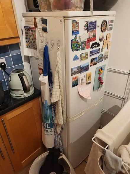 Photo of free Tall Fridge (SW11 6hb) #1
