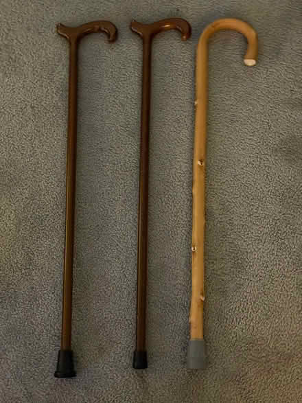 Photo of free Walking Sticks (Cowplain) #1