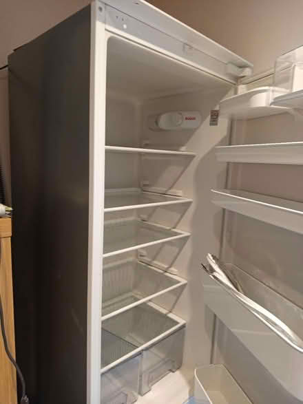 Photo of free Bosch Fridge freezer 177x57x51 cm (Hemel Hempstead HP1) #1
