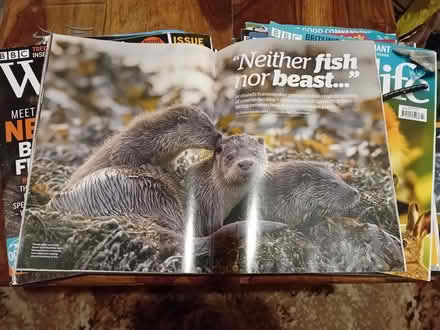 Photo of free Wildlife magazines (Clifton S60) #2