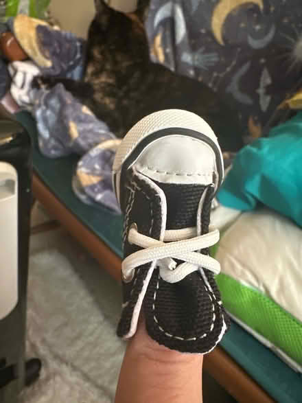 Photo of free Pet sneakers (Taneytown, md) #3