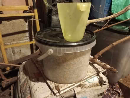 Photo of Largish plastic containers with lids (Cashes Green GL5) #1