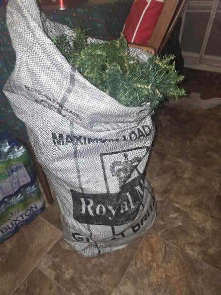 Photo of free Christmas garlands (Chapeltown S35) #1