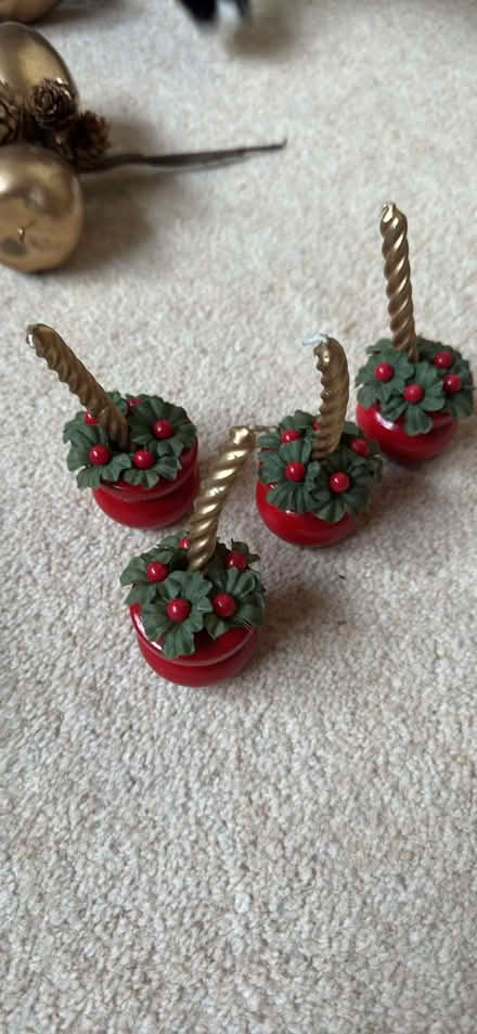 Photo of free Christmas Decorations (Chorleywood House estate WD3) #1