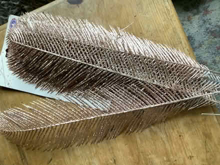 Photo of free Pink Xmas feathers (Hatfield AL10) #1