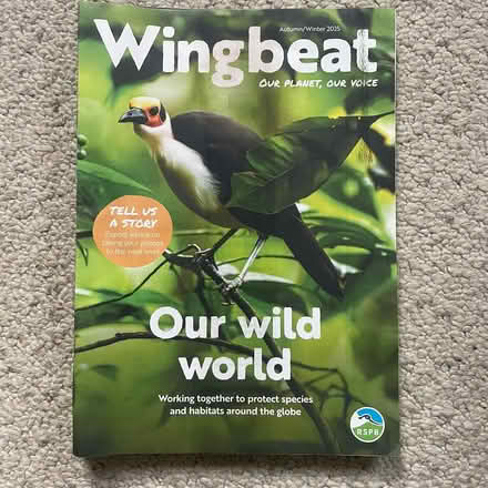 Photo of free Wingbeat Magazine (City of Bristol BS5) #2