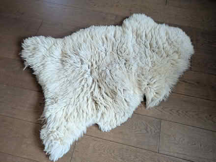 Photo of free Sheepskin (Earwig Corner BN7) #1