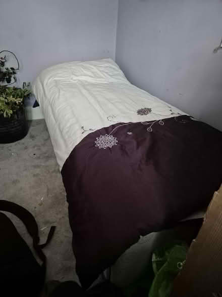 Photo of free Single Divan base (Addiscombe CR0) #1
