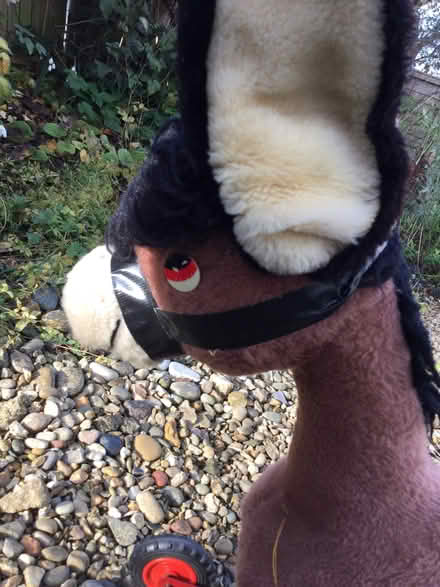Photo of free Merrythoughts Donkey push along with wheels (Summertown OX2) #3