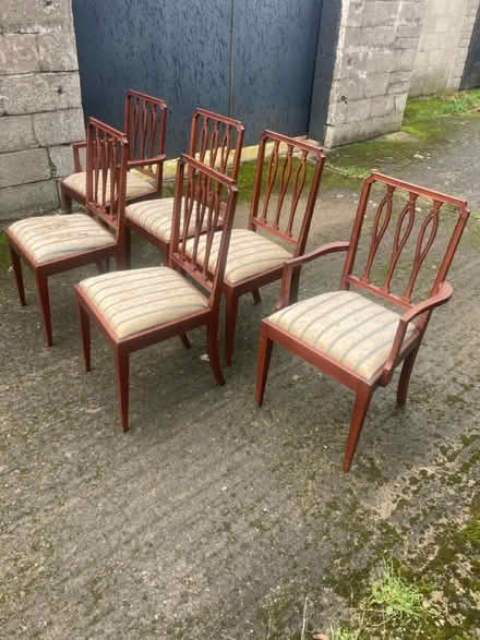 Photo of free Chairs x 6 (Perrystown Dublin 12) #2