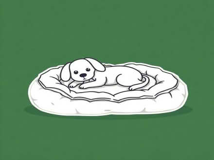 Photo of Dog Bed (Weston SO19) #1