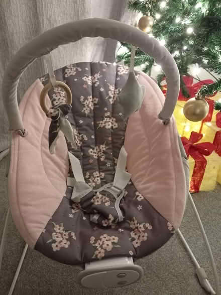 Photo of free Baby bouncer m (Wickford SS11) #1