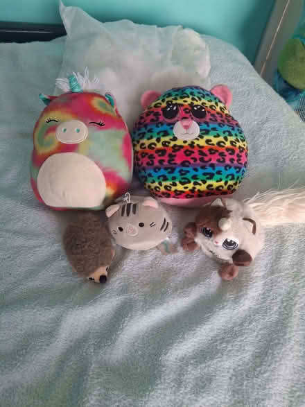 Photo of free Squismallows and teddy (Penrith CA11) #1