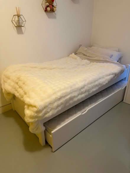 Photo of free single bed plus guest bed (Swiss cottage NW3) #1