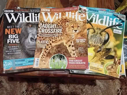 Photo of free Wildlife magazines (Clifton S60) #1