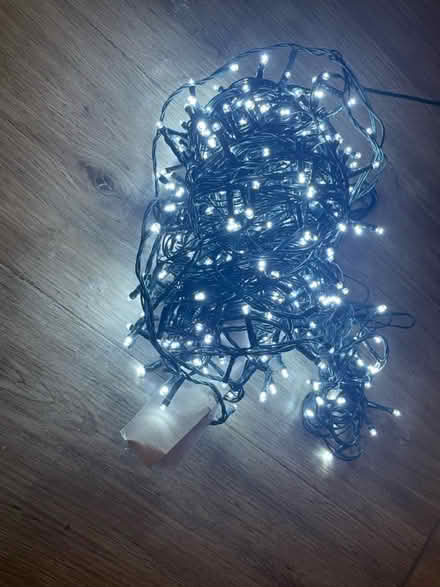Photo of free Christmas lights (Mudeford) #3