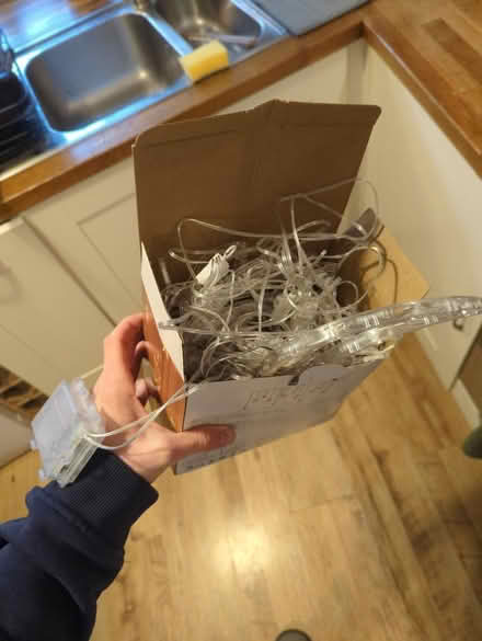Photo of free Christmas lights (Walkley, S6) #2