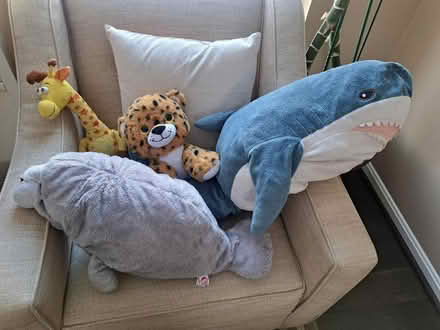 Photo of free Stuffed Animals (20747) #1