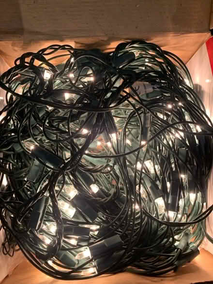 Photo of free Indoor Christmas lights (Gobowen SY10) #3