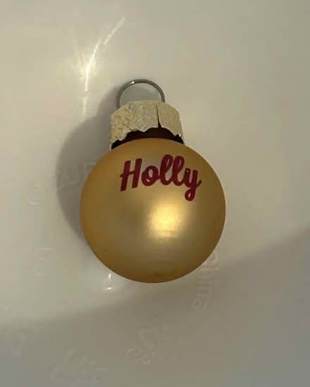 Photo of free small Holly bauble (Jennetts park RG12) #1
