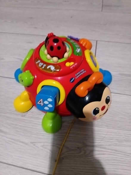 Photo of free Interactive ladybird toy (Yardley birmingham B25) #1
