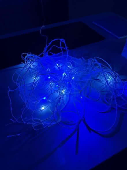 Photo of free Xmas lights (Poole BH14) #2
