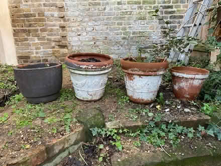 Photo of free Terracotta plant pots (SW2 - Brixton) #1