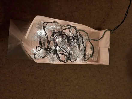 Photo of free 20 Christmas Lights (Desford LE9) #2