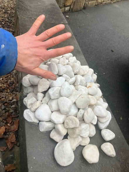 Photo of free White stones (Bingley BD16) #1