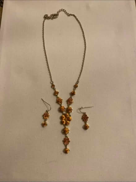 Photo of free Gorgeous Necklace & Earrings Set (Cheshunt En8) #1