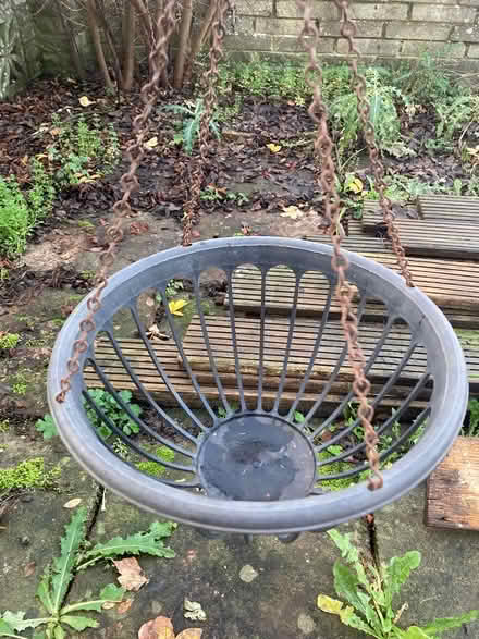 Photo of free Hanging basket (Loughton IG10) #1