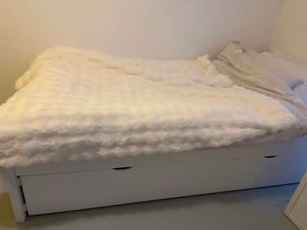 Photo of free Single bed with guest bed (Belsize Park NW3) #1