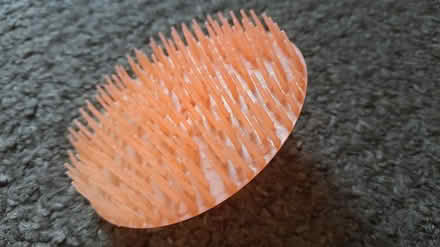 Photo of free Scalp massager (Barnsley old town S75) #2