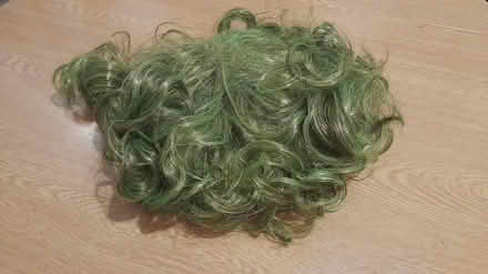 Photo of free Green-ish wig (Barnsley old town S75) #3
