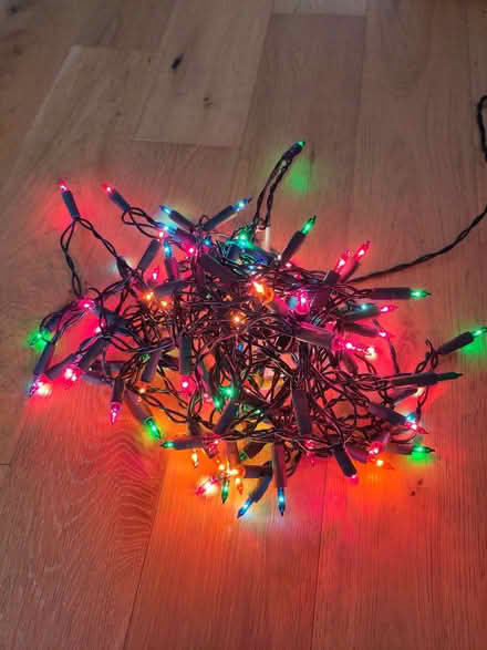Photo of free Christmas lights (Pant SY10) #1