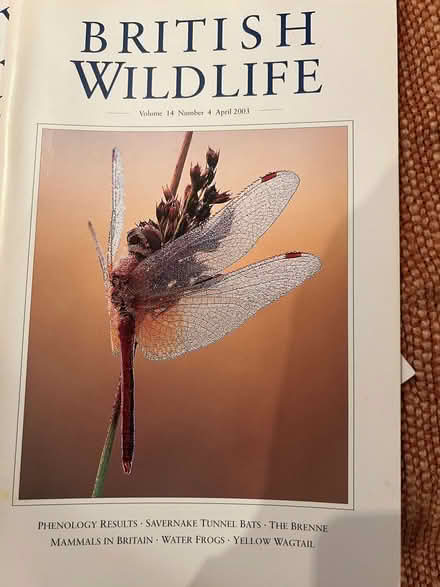 Photo of free British Wildlife Journals (Wirksworth DE4) #2