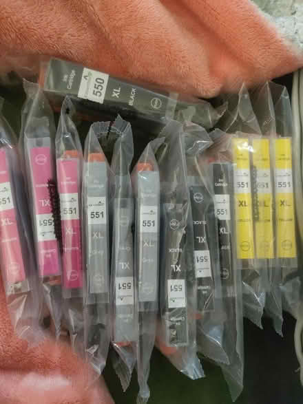 Photo of free Ink cartridges 551 XL Canon printer (Cutteslowe OX2) #1
