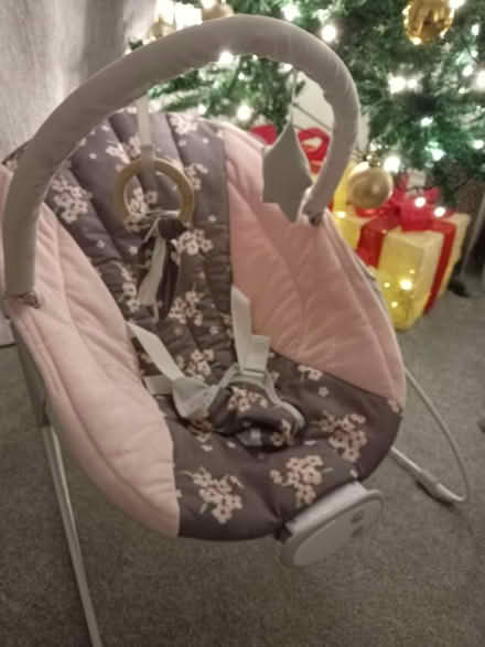 Photo of free Baby bouncer m (Wickford SS11) #2