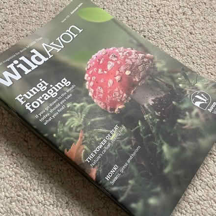 Photo of free Wild Avon Magazine (City of Bristol BS5) #1
