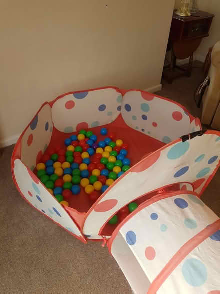 Photo of free childs ball pit and tunnel (Colyton EX24) #3