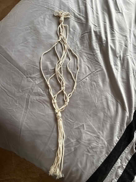 Photo of free Plant hanger (Bordon) #1