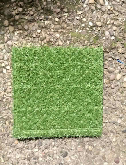 Photo of IKEA false grass squares (Springfield, MK6) #1