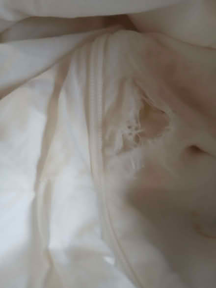 Photo of free Two cocktail dresses (Calton EH7) #3