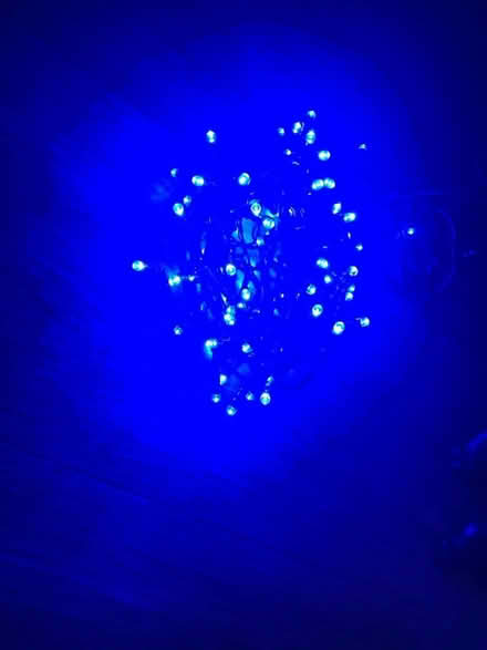 Photo of free Christmas lights (Mudeford) #2