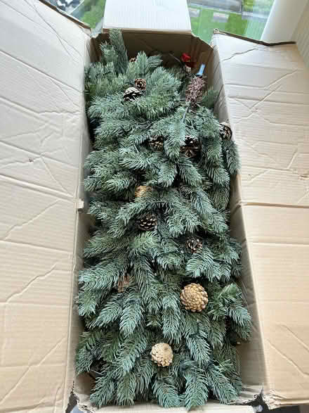Photo of free Christmas decorations (Kingston upon Thames KT2) #2