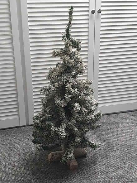 Photo of free Christmas Tree (Old Town, HX7) #1