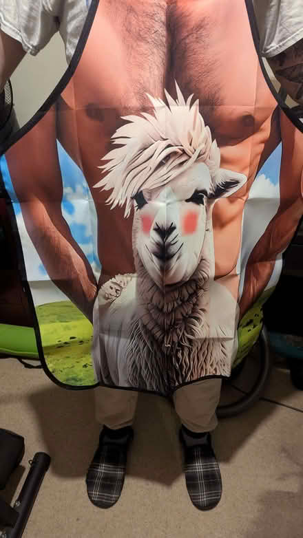 Photo of free Funny man and llama apron (Malvern Link WR14) #1