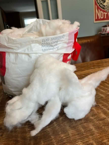 Photo of free Polyfill (fake snow) (Kings park west) #2